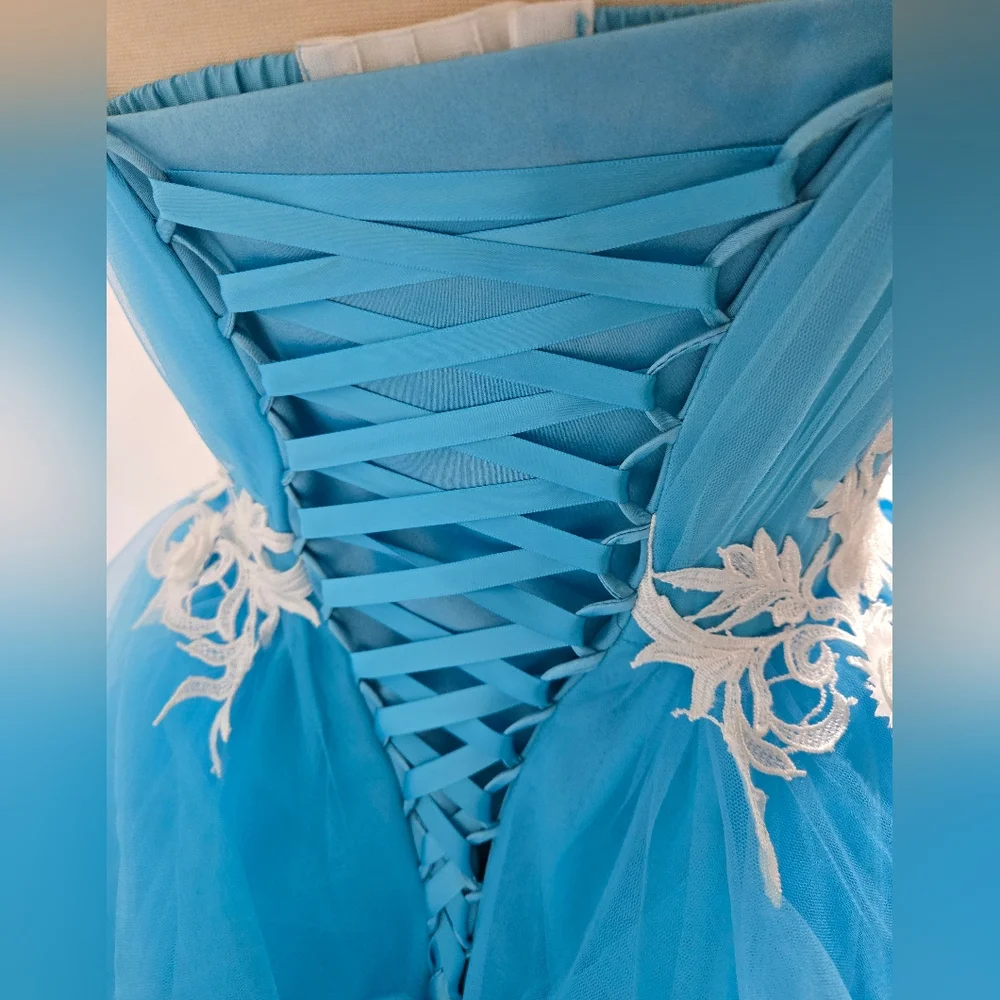 Mila Hoffman Custom Couture Ball Gown, Blue Topaz, White Floral Emroidered Waist - Picture 13 of 17